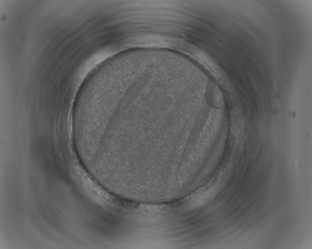 X0000084040840200703161829