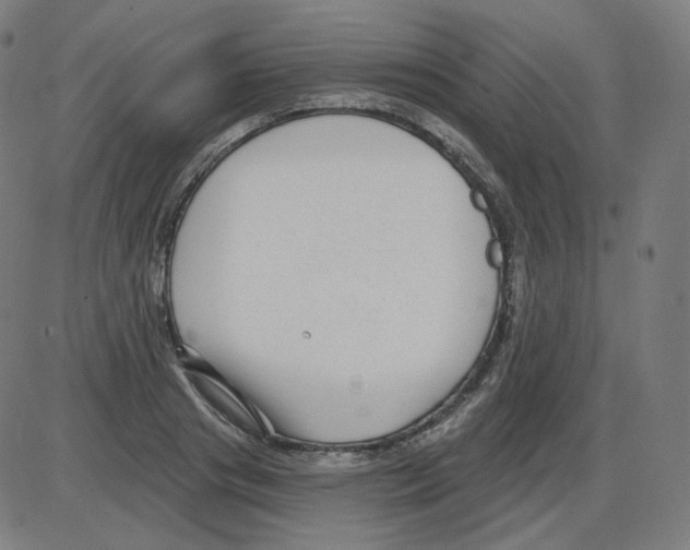 X0000084040841200703161829