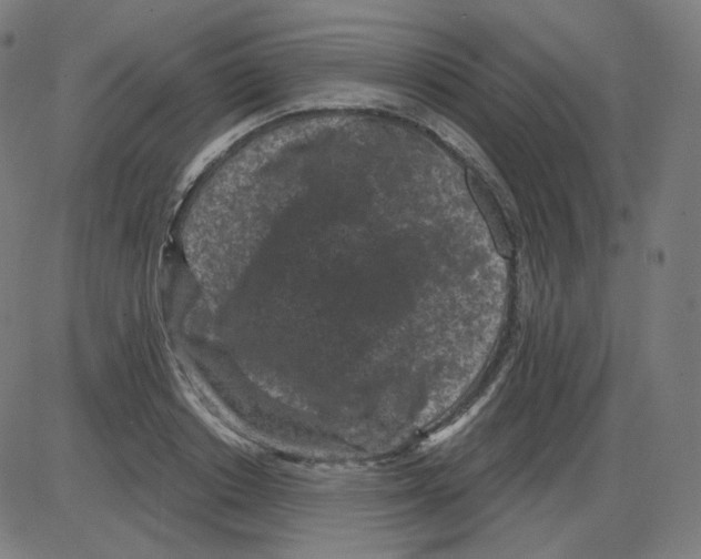 X0000084040842200703161829