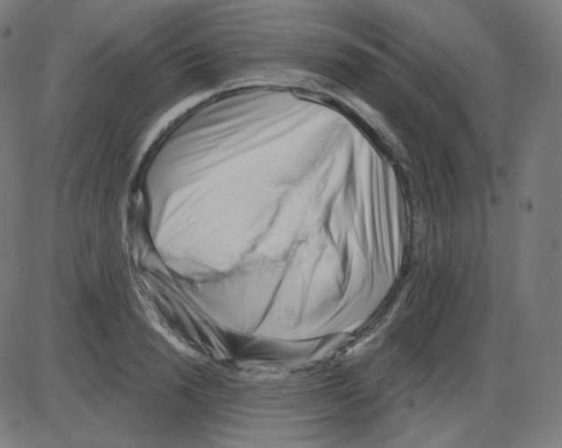 X0000084040846200703161829