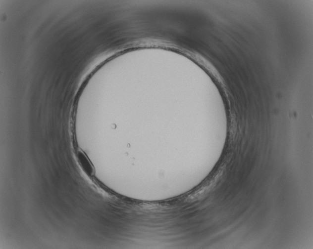 X0000084040847200703161829