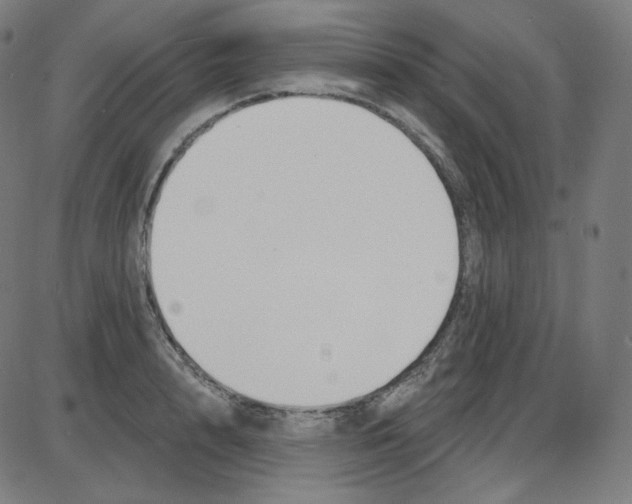 X0000084040848200703161829