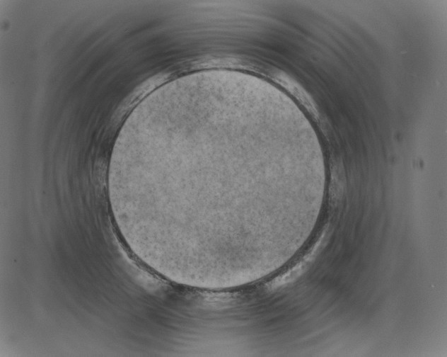 X0000084040849200703161829