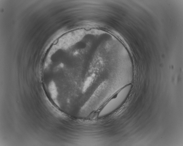 X0000084040851200703161829