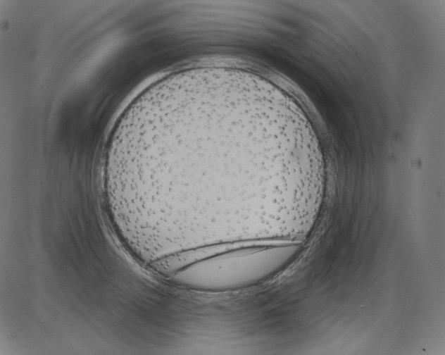 X0000084040852200703161829