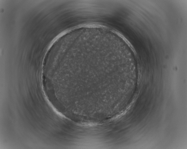 X0000084040853200703161829