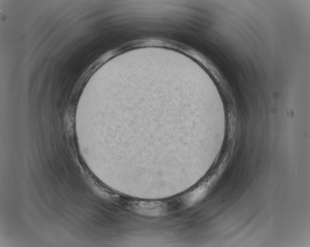 X0000084040857200703161829