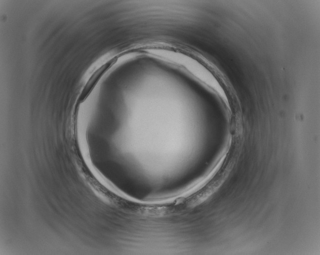 X0000084040858200703161829