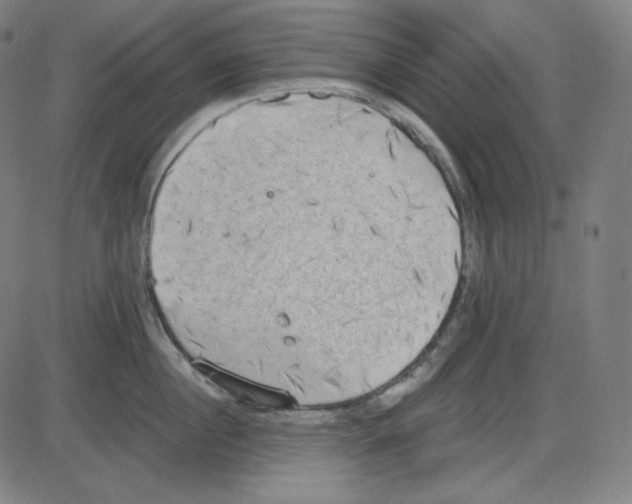 X0000084040860200703161829