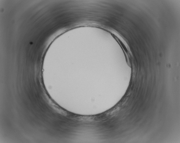 X0000084040861200703161829