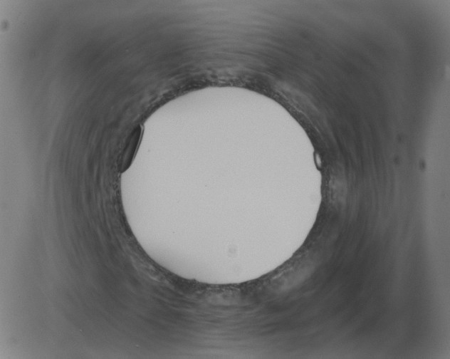 X0000084040865200703161829