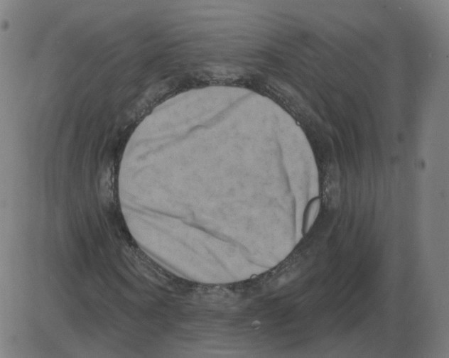 X0000084040866200703161829