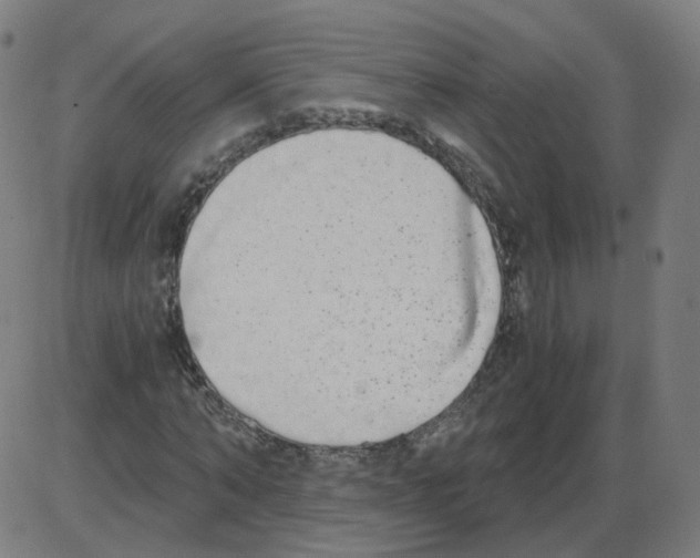 X0000084040870200703161829