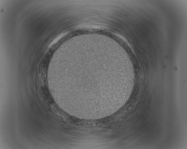 X0000084040871200703161829