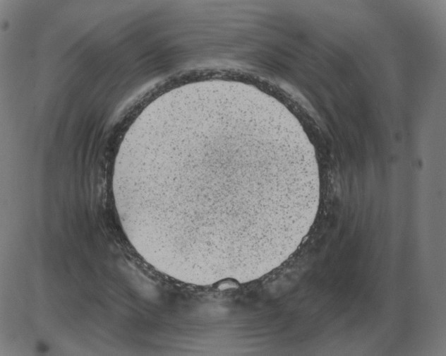 X0000084040872200703161829