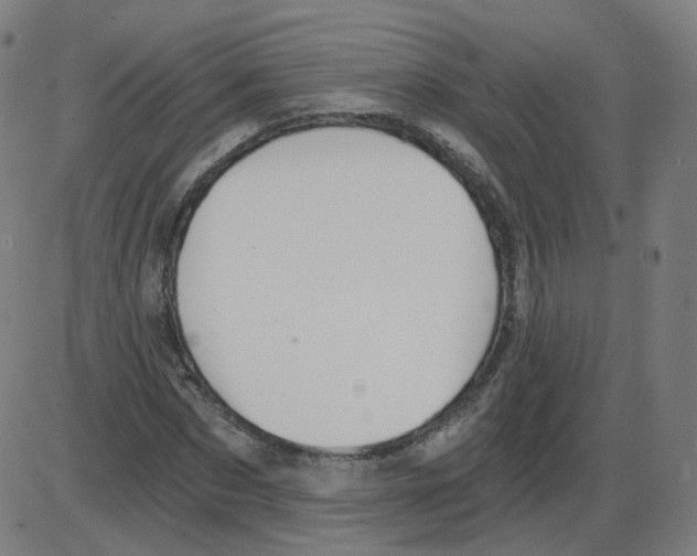 X0000084040873200703161829