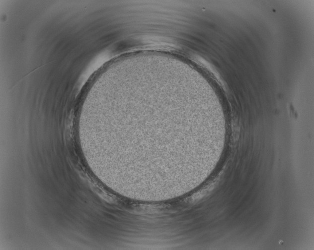 X0000084040875200703161829