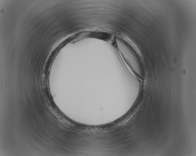 X0000084040876200703161829