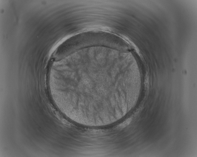 X0000084040877200703161829