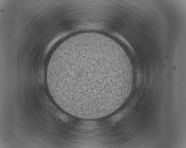 X0000084040878200703161828