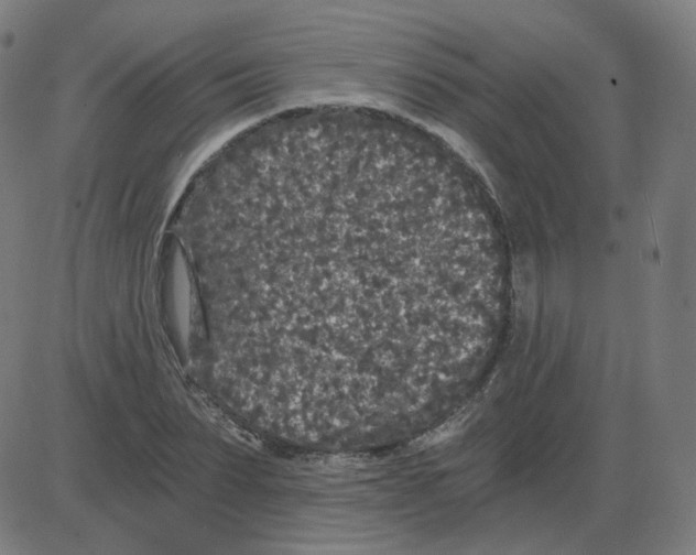 X0000084040879200703161828