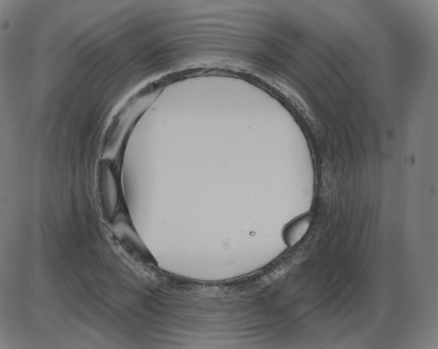 X0000084040880200703161828