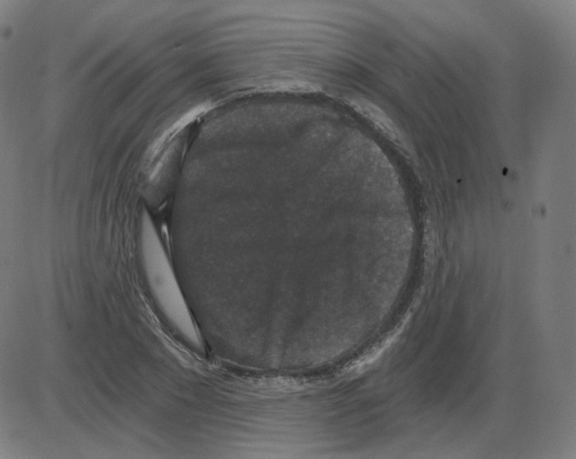 X0000084040881200703161828