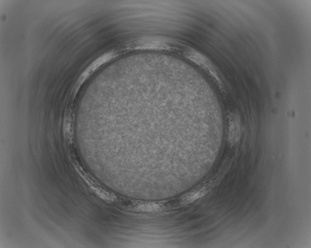 X0000084040882200703161828