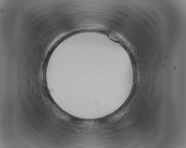 X0000084040883200703161828