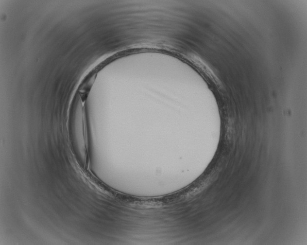 X0000084040884200703161828