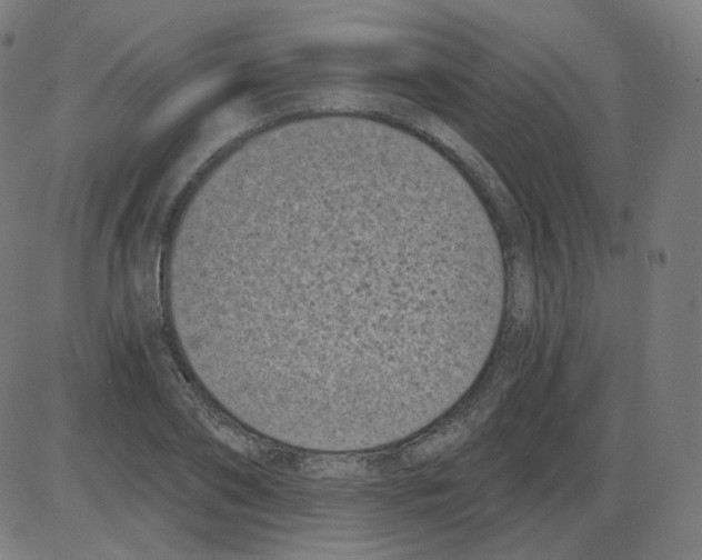 X0000084040886200703161828