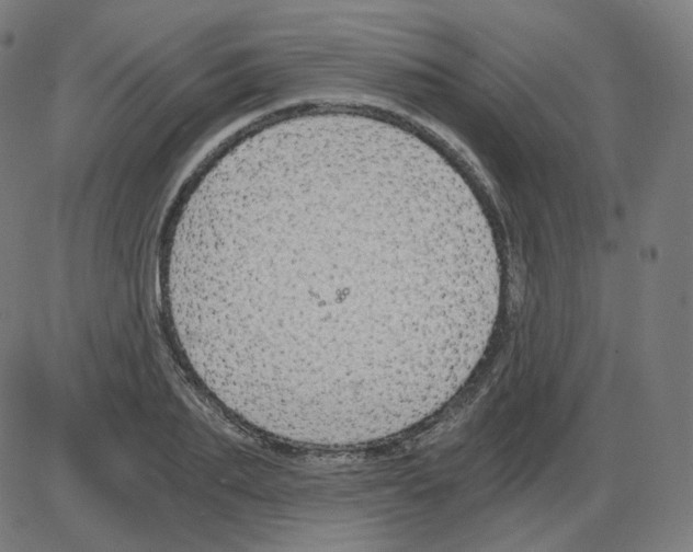 X0000084040887200703161828