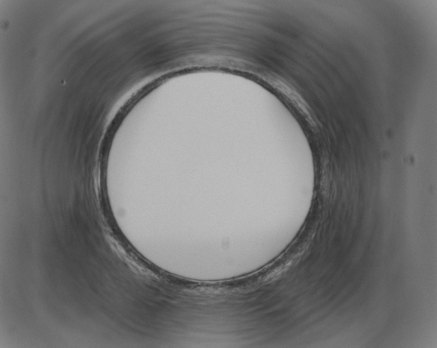 X0000084040888200703161828