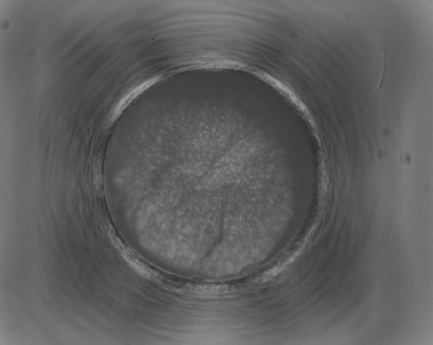 X0000084040889200703161828