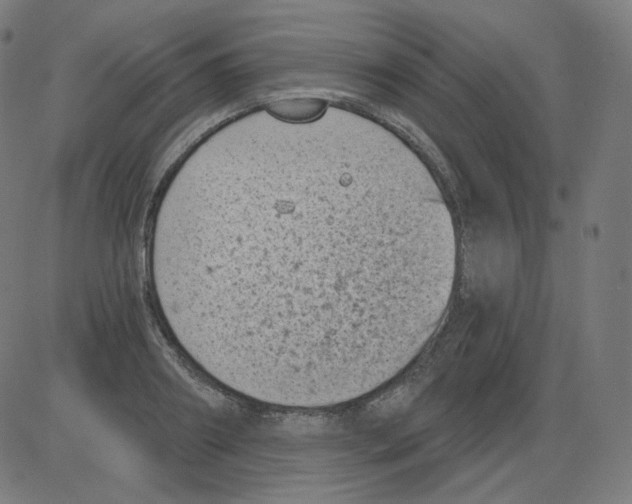 X0000084040890200703161828