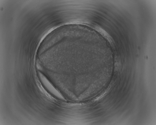 X0000084040892200703161828