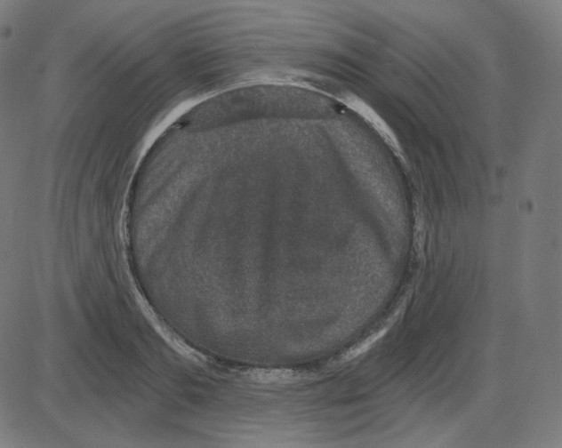 X0000084040893200703161828