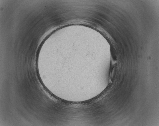 X0000084040894200703161828