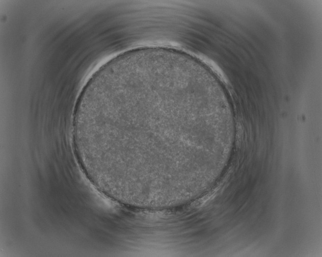 X0000084040895200703161828