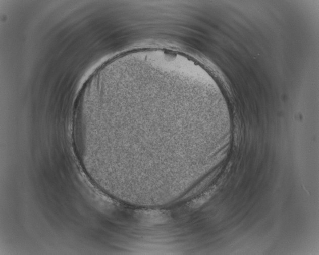 X0000084040896200703161828