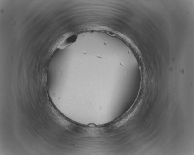 X0000084040897200703161828