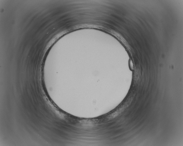 X0000084040898200703161828