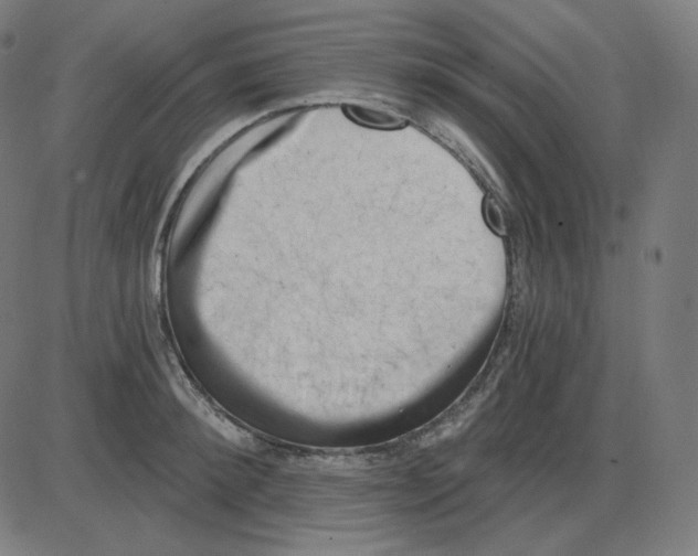 X0000084040900200703161828