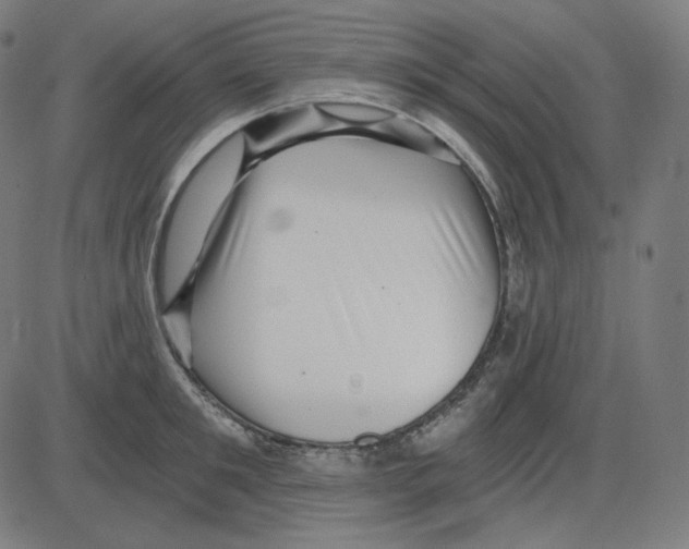 X0000084040901200703161828