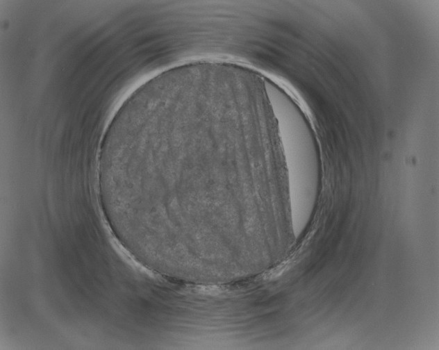 X0000084040903200703161828