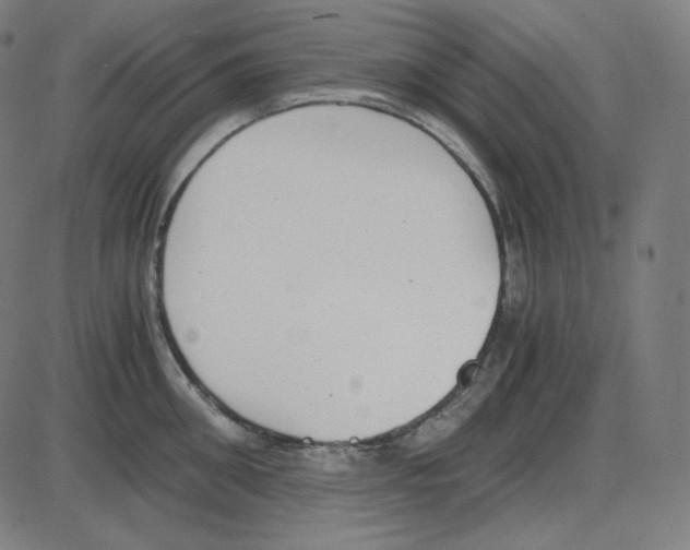 X0000084040906200703161828