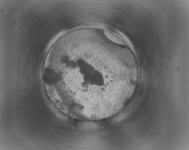 X0000084040907200703161828