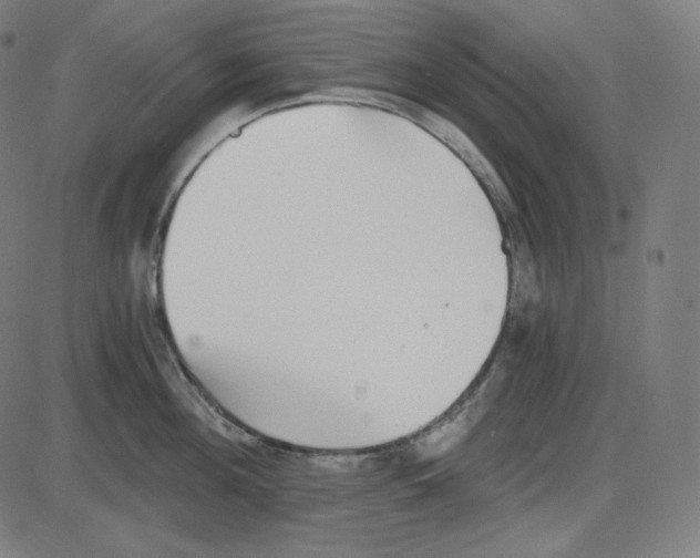 X0000084040908200703161828