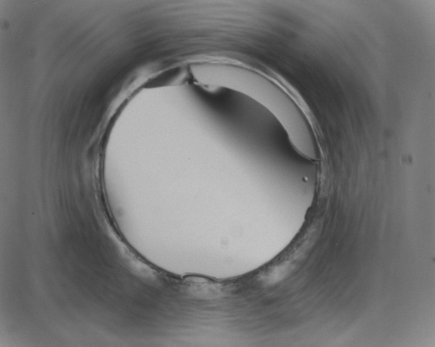 X0000084040909200703161828