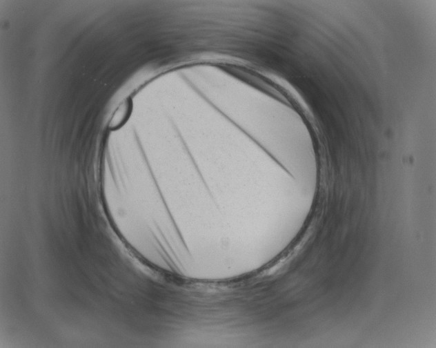 X0000084040910200703161828